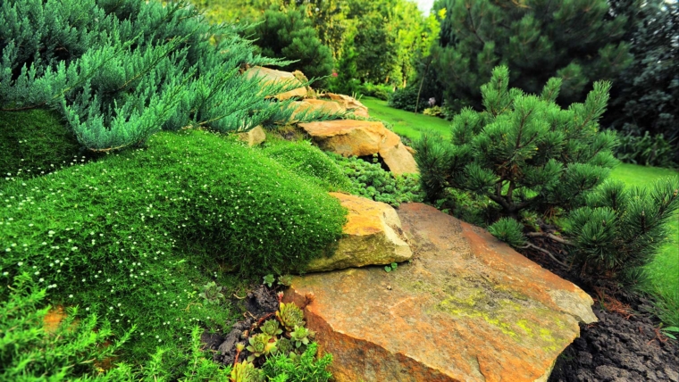 Planting a DIY Vertical Garden